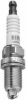 VAG 101000055AA Spark Plug